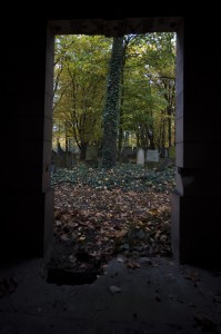 Cmentarz Żydowski we Wrocławiu